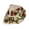 Rose From Beyond 15cm Skulls Gifts Under £100