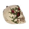 Rose From Beyond 15cm Skulls Gifts Under £100