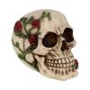 Rose From Beyond 15cm Skulls Gifts Under £100