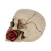 Rose From the Dead 15cm Skulls Gifts Under £100