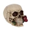 Rose From the Dead 15cm Skulls Gifts Under £100