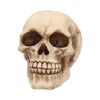 Joker 12cm Skulls Out Of Stock