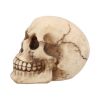 Joker 12cm Skulls Out Of Stock