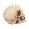 Joker 12cm Skulls Out Of Stock