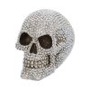 Priceless Grin 16cm Skulls Gifts Under £100