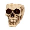 Lobo 14.5cm Skulls Gifts Under £100