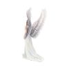 Spirit Guide (AS) 24cm Angels Top 200 None Licensed