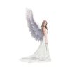 Spirit Guide (AS) 24cm Angels Top 200 None Licensed