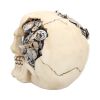 Clockwork Cranium 15cm Skulls Gifts Under £100