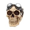 Goggles 15cm Skulls Sale Items