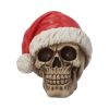 Silent Night 15.5cm Skulls Out Of Stock