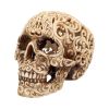 Celtic Decadence 18.5cm Skulls Out Of Stock