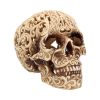 Celtic Decadence 18.5cm Skulls Out Of Stock