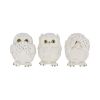 Three Wise Owls 8cm Owls Top 200 None Licensed