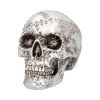 Rivet Head 19cm Skulls Sale Items