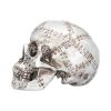 Rivet Head 19cm Skulls Sale Items