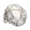 Rivet Head 19cm Skulls Sale Items