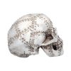 Rivet Head 19cm Skulls Sale Items