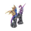 Realm Protectors (Set of 2) 15cm Dragons Out Of Stock