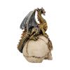 Dragon's Grasp 18.5cm Dragons Dragon Figurines