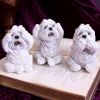 Three Wise Westies 8cm Dogs Gifts Under £100