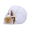 Floral Fate 17.5cm Skulls Gifts Under £100