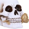 Floral Fate 17.5cm Skulls Gifts Under £100