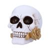 Floral Fate 17.5cm Skulls Gifts Under £100