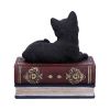 Salems Spells 11.7cm Cats Top 200 None Licensed