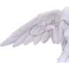 Angels Offering 38cm Angels Spiritual Product Guide