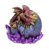 Crimson Hatchling Glow 12.5cm Dragons Last Chance to Buy