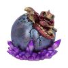 Crimson Hatchling Glow 12.5cm Dragons Last Chance to Buy