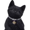 Cattitude 16.5cm Cats Gifts Under £100