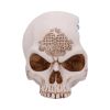 Celtic Cave 15cm Skulls Summer Sale 2024