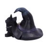 Prue 10.5cm Cats Summer Sale 2024