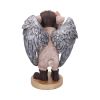 Porky Pilot 23cm Animals Summer Sale 2024