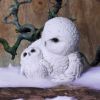 Feathered Guide 13.5cm Owls Gifts Under £100