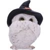 Three Wise Feathered Familiars 9cm Owls Out Of Stock