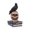 Raven's Spell 10.3cm Ravens Out Of Stock