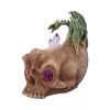 Crystalline Cranium 15.7cm Dragons September Flash Sale 2024 | Gothic