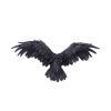 Dark Feather 55cm Owls Summer Sale 2024