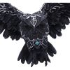 Dark Feather 55cm Owls Summer Sale 2024