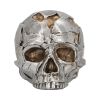 Fracture (Small) 11cm Skulls Summer Sale 2024