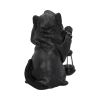 Reapers Feline Lantern 18.5cm Cats Out Of Stock