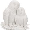 Love 9.8cm Owls Summer Sale 2024