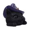 Familiar Grin 13.8cm Cats Halloween Highlights Figurines