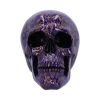 Indigo Elegance 18.5cm Skulls Gifts Under £100