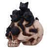 Cranial Litter 14cm Cats Gifts Under £100