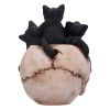 Cranial Litter 14cm Cats Gifts Under £100