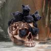 Cranial Litter 14cm Cats Gifts Under £100